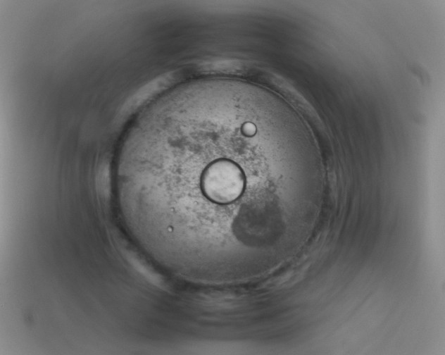 X0000114220729200910231442