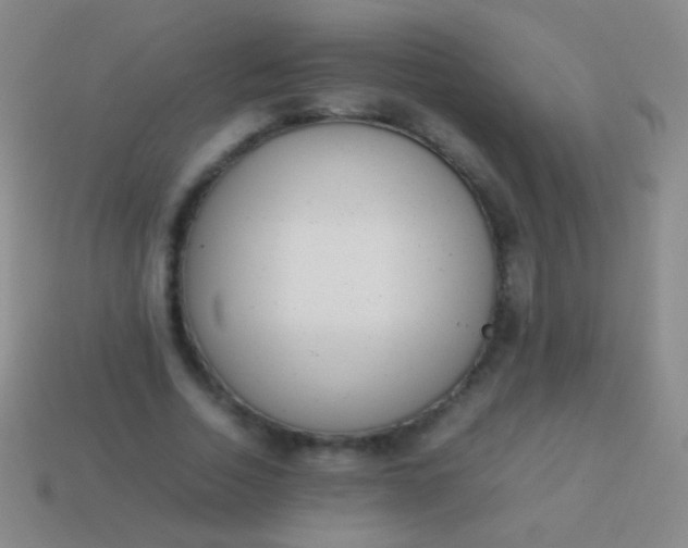 X0000114220730200910231442