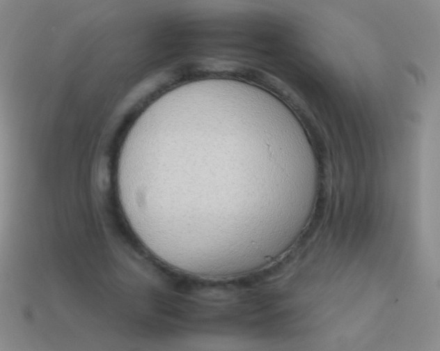 X0000114220731200910231442