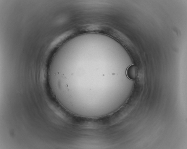 X0000114220732200910231442