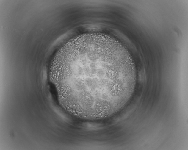 X0000114220733200910231442