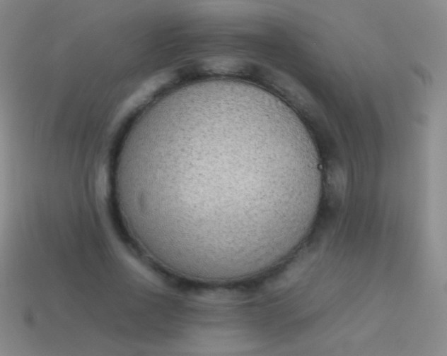 X0000114220734200910231442