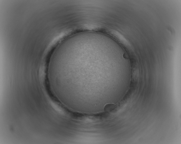 X0000114220736200910231442