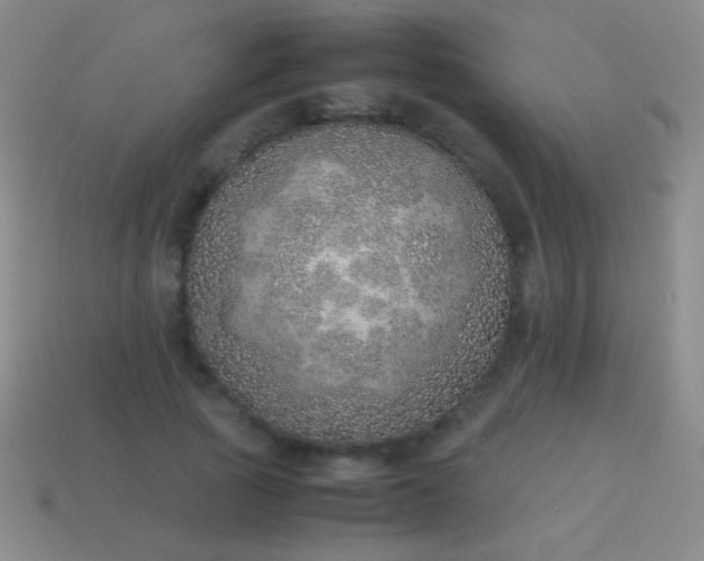 X0000114220737200910231442