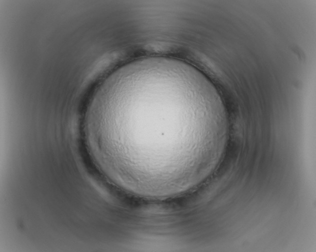 X0000114220738200910231442