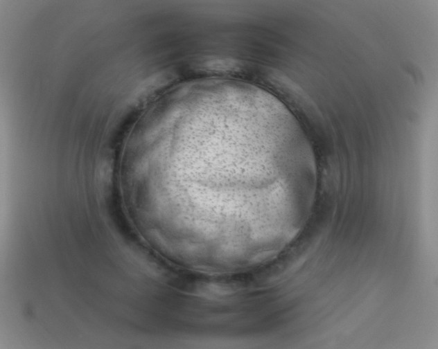 X0000114220739200910231442