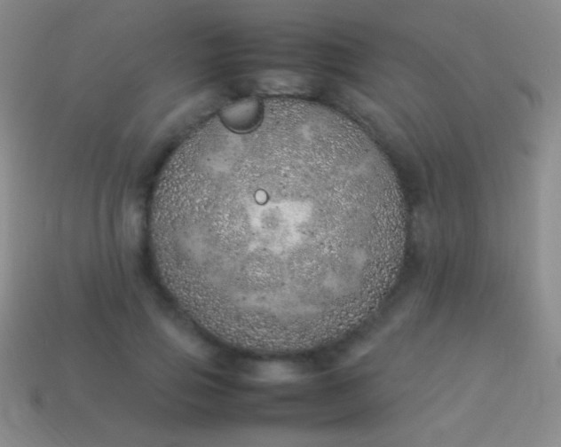 X0000114220741200910231442