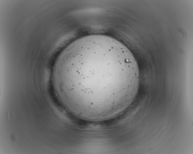 X0000114220742200910231442