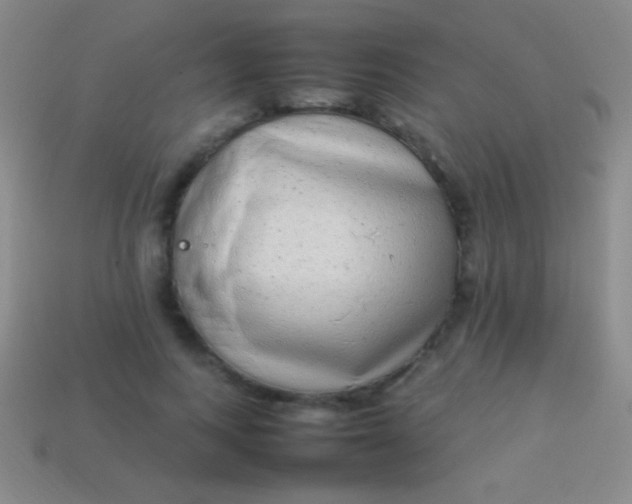 X0000114220743200910231443