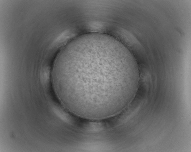 X0000114220744200910231443