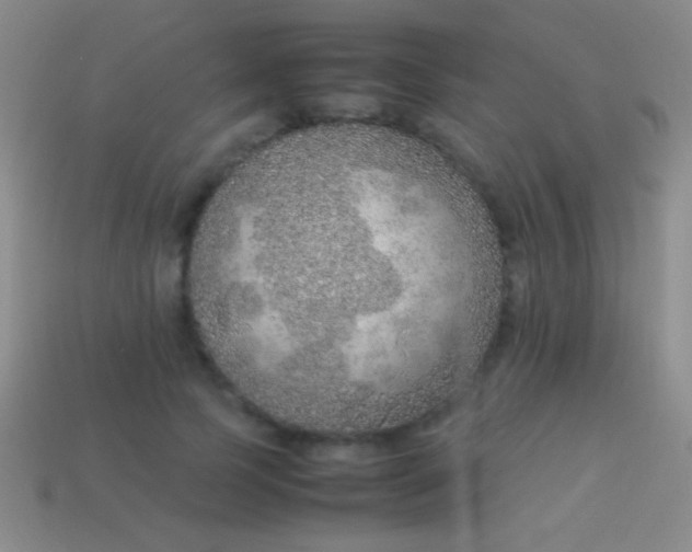 X0000114220745200910231443