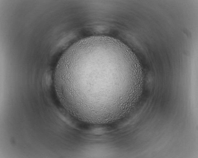 X0000114220746200910231443