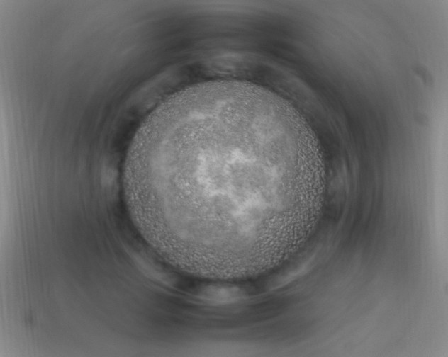 X0000114220749200910231443