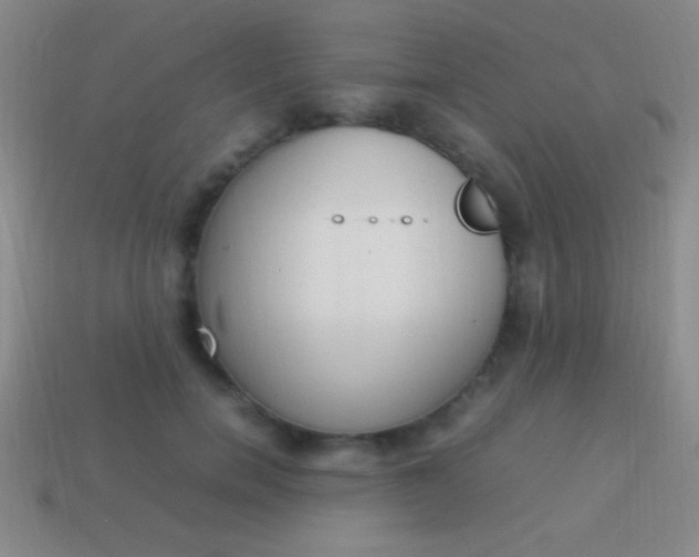 X0000114220750200910231443