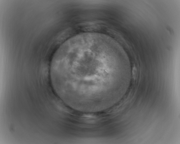 X0000114220753200910231443