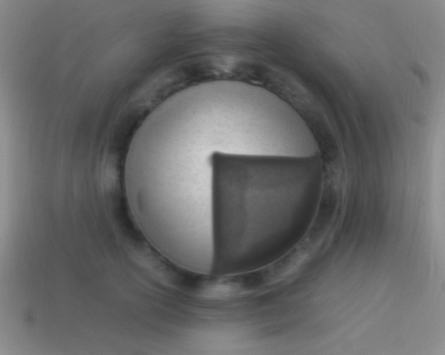 X0000114220754200910231443