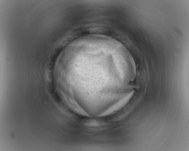 X0000114220755200910231443