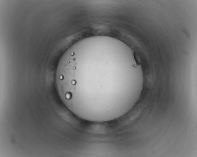 X0000114220756200910231443