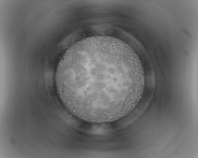 X0000114220757200910231443