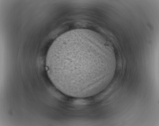 X0000114220759200910231443