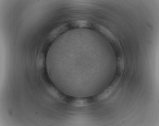 X0000114220760200910231443