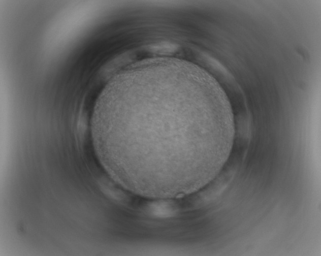 X0000114220761200910231443