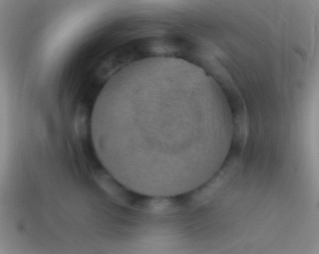 X0000114220762200910231443