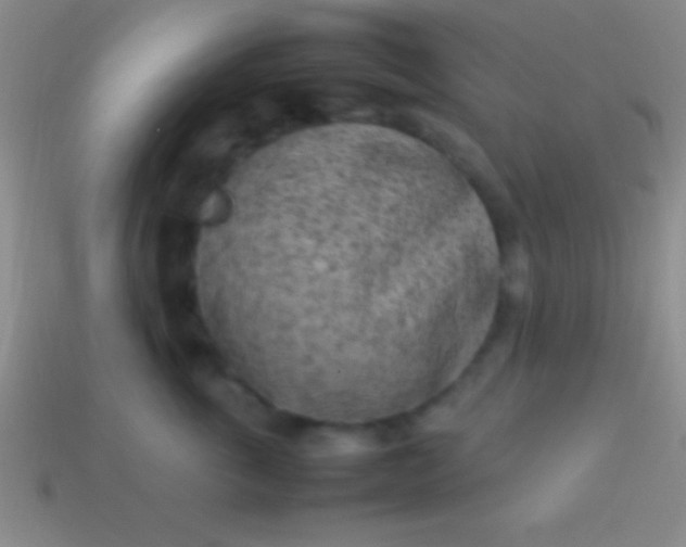 X0000114220763200910231443