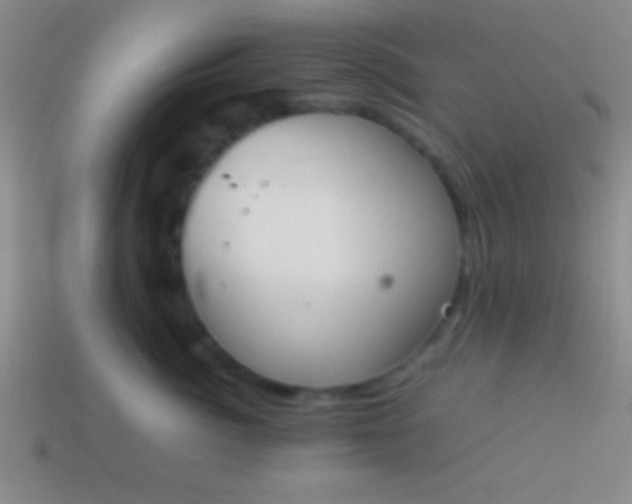 X0000114220764200910231443