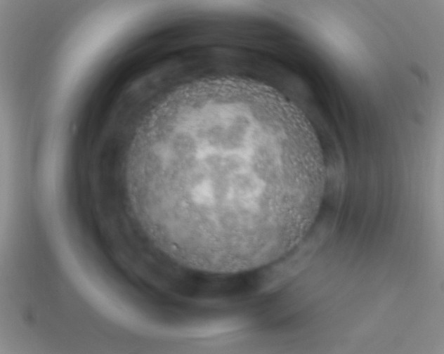 X0000114220765200910231443