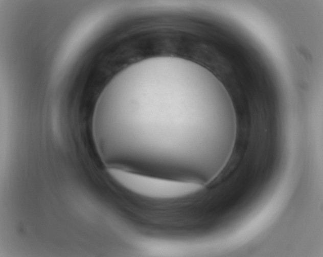 X0000114220766200910231443