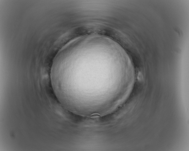 X0000114220771200910231442