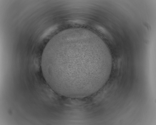 X0000114220774200910231442