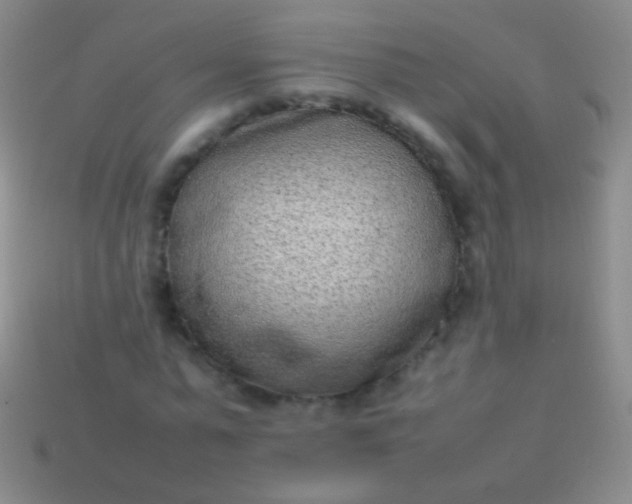 X0000114220775200910231442