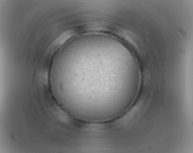 X0000114220777200910231442