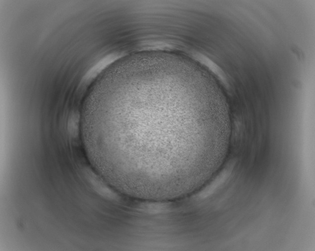 X0000114220778200910231442