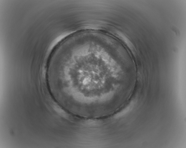 X0000114220779200910231442