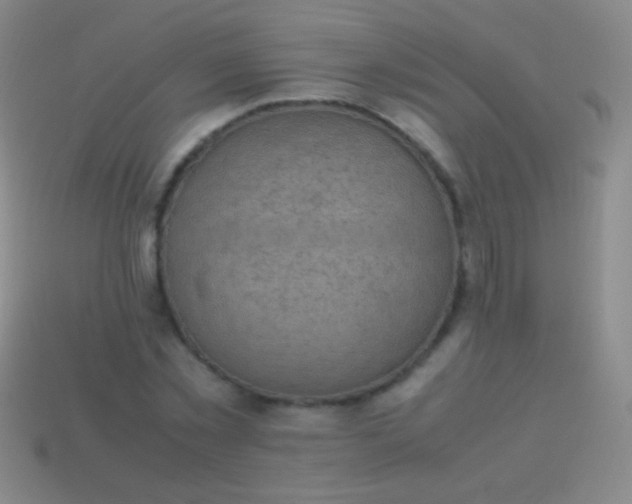 X0000114220781200910231442