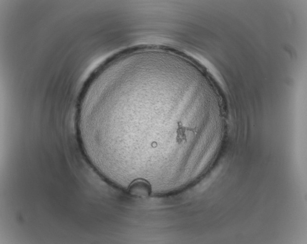 X0000114220783200910231442