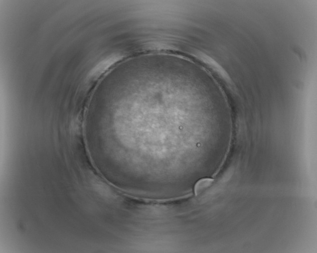 X0000114220785200910231442