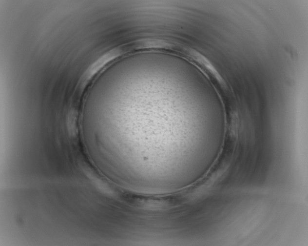 X0000114220786200910231442