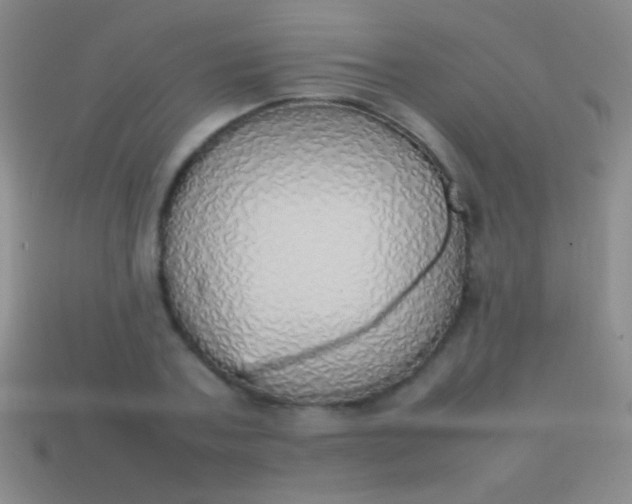 X0000114220787200910231442