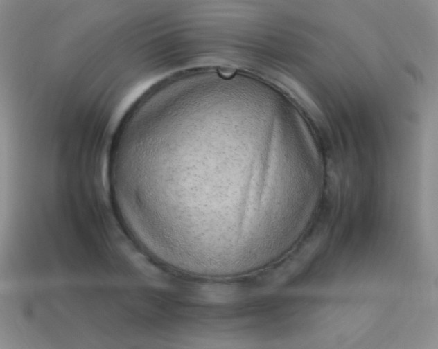 X0000114220788200910231442