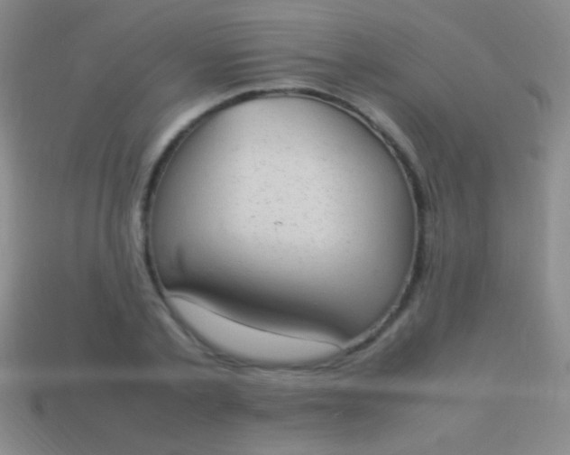 X0000114220789200910231442