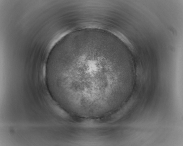 X0000114220790200910231442