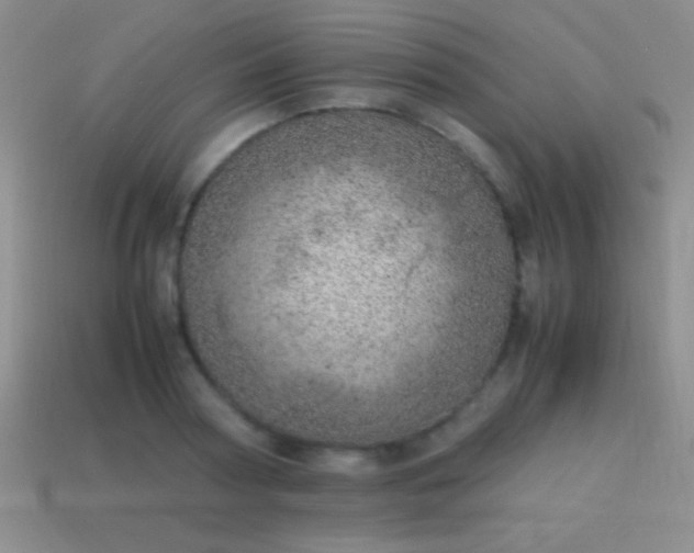 X0000114220794200910231442