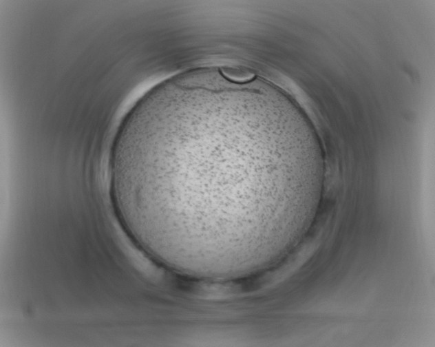 X0000114220795200910231442