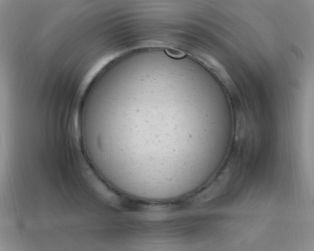 X0000114220796200910231442