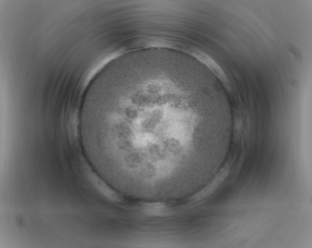 X0000114220798200910231442