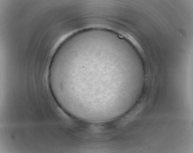 X0000114220799200910231442